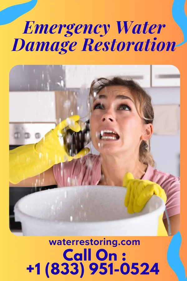 Emergency Water Damage Restoration in Clear Lake, IL