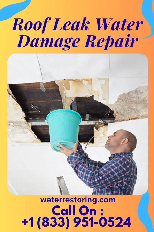 Roof Leak Water Damage Repair in Clear Lake, IL